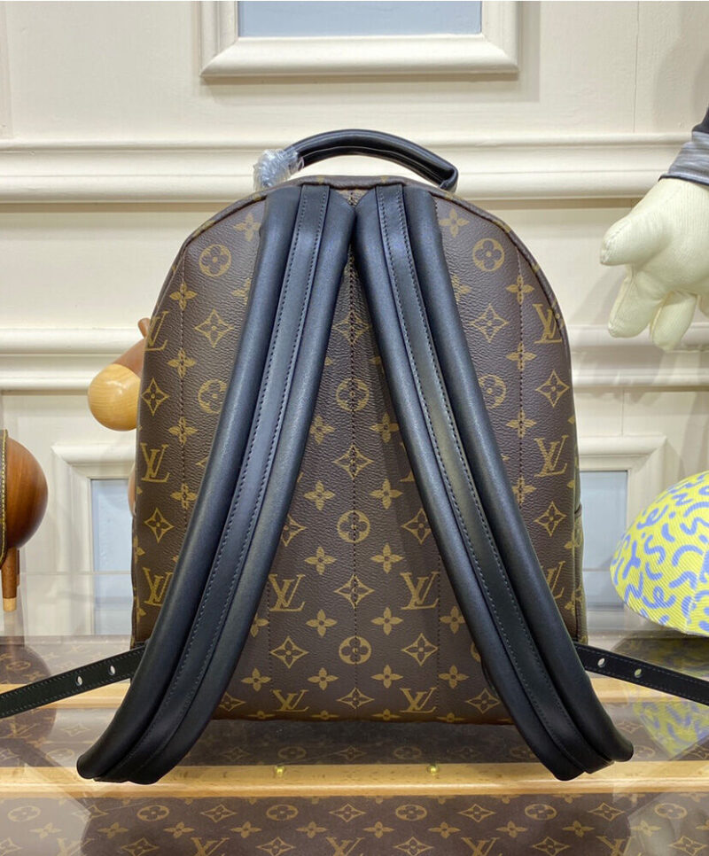 Louis Vuitton Palm Springs MM M44874 Brown